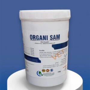 ORGANI SAM